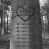 Family Tree Carved Names B&W With Heart Multiple Names Personalized Mug
