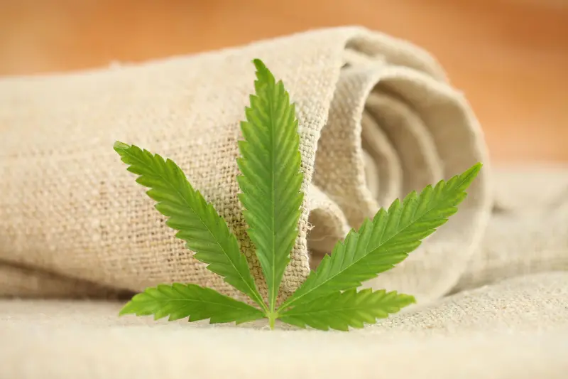 interest in hemp fiber grows as farmers plan for 2021 season 5003772 (1)