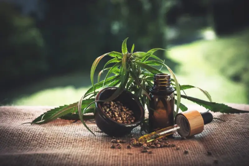 how to pick the best cbd tinctureoil and what to look for 285755 (1)