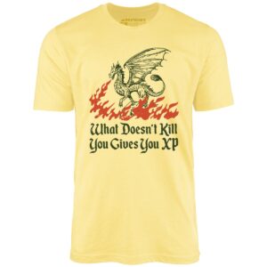 What Doesn’t Kill You Gives You XP – Unisex T-Shirt