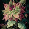 Dahlia Imperialis 1 Floral Botanical Vintage Poster Flower