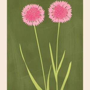 Pink & Green Cornflower 2 Flower Poster